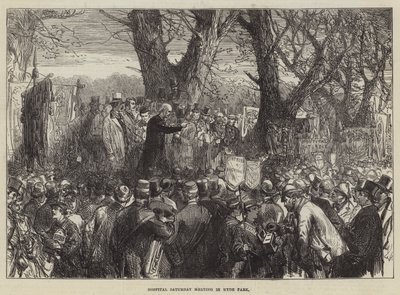 Nemocniční sobotní setkání v Hyde Parku od Sir John Charles Robinson