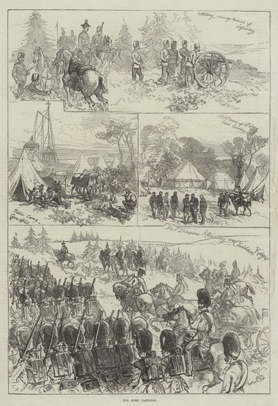 Domácí kampaň od Sir John Charles Robinson