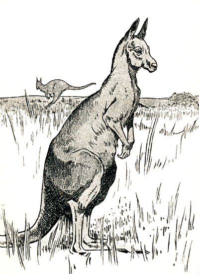 Klokan, 1912 od Charles Robinson