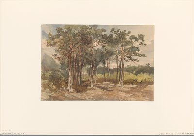 Skupina stromů v lese poblíž Driebergen od Charles Rochussen