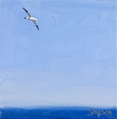 Gannet, 2010 (olej na plátně) od Charles Simpson