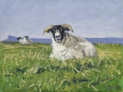 Ovce ze západního pobřeží, 2017 (olej na plátně) od Charles Simpson