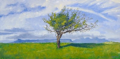 Strom na západním pobřeží, 2015 (olej na plátně) od Charles Simpson
