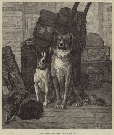 Cizinci a poutníci od Charles Trevor Garland