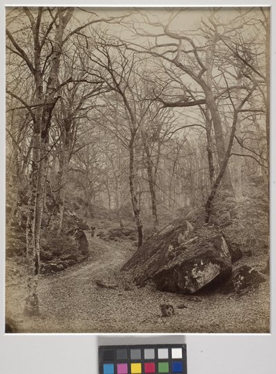 Fontainebleau, kolem roku 1870 (tisk alba) od Charles Victor Famin