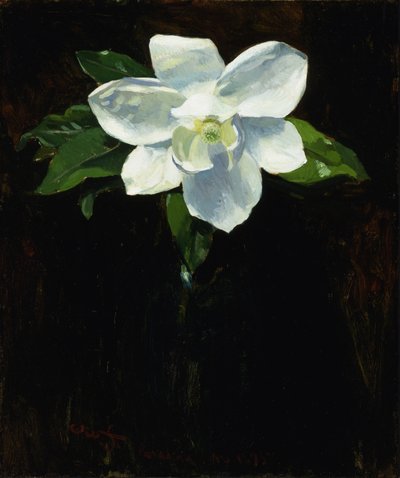 Magnolie, 1895. od Charles Walter Stetson