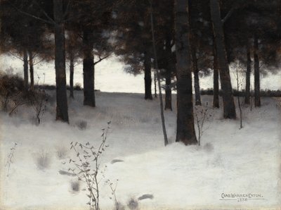 Woods v zimě, 1886. od Charles Warren Eaton