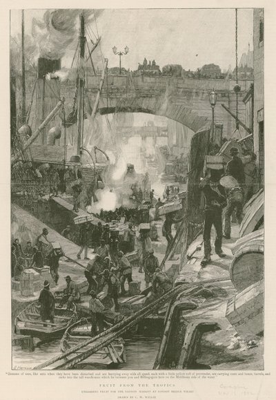 Ovoce z tropů (rytina) od Charles William Wyllie