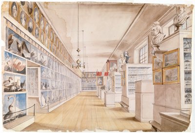 The Long Room, interiér přední místnosti v muzeu Peales, 1822 (wc nad grafitem na papíře) od Charles Willson Peale