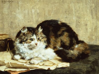 Mourovatá kočka od Charles van den Eycken