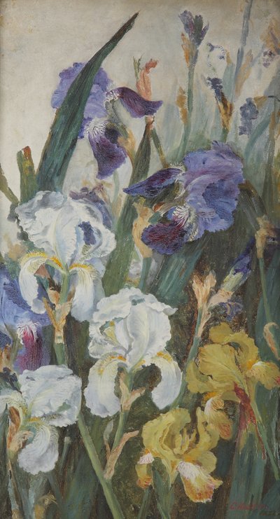Kosatce, 1882 od Charlotte Hodder