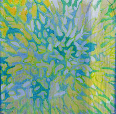 Acrapora, 2000 (olej na gesso) od Charlotte Johnstone
