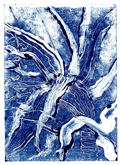 Inky Plants č. 2, 2019 (monotisk) od Charlotte Orr