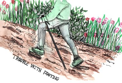 Parkinsonovy ilustrace, 2019 (tuš a akvarel) od Charlotte Orr