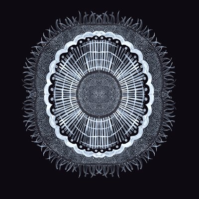 Plant Cell 0.2, 2019 (pero a inkoust) od Charlotte Orr