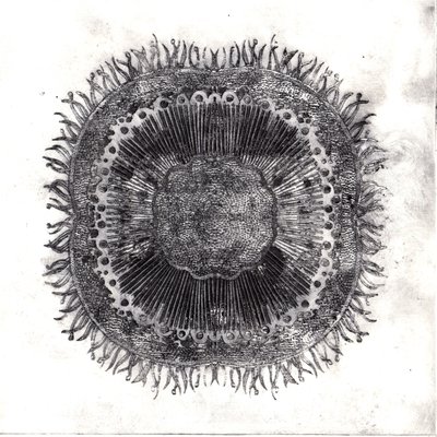Plant Cells, 2019 (suché leptání) od Charlotte Orr