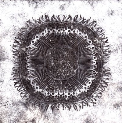 Plant Cells, 2019 (suché leptání) od Charlotte Orr