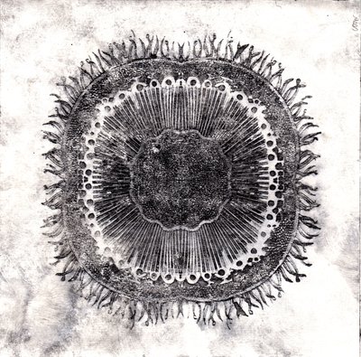 Plant Cells, 2019 (suché leptání) od Charlotte Orr