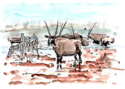 Safari, 2018 (tuš a akvarel) od Charlotte Orr