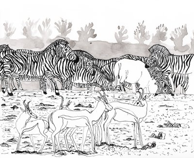 Safari 3, 2018 (inkoust a akvarel) od Charlotte Orr