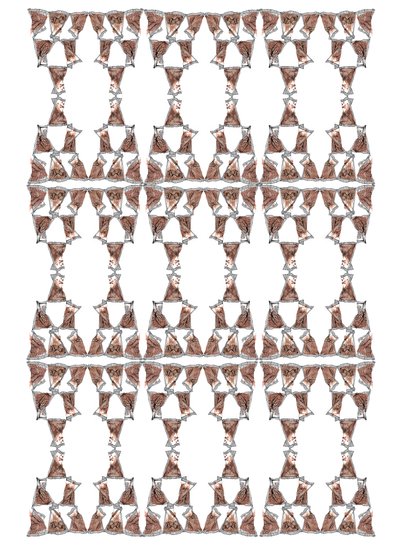 Design balení čaje, 2018 (inkoust a akvarel) od Charlotte Orr