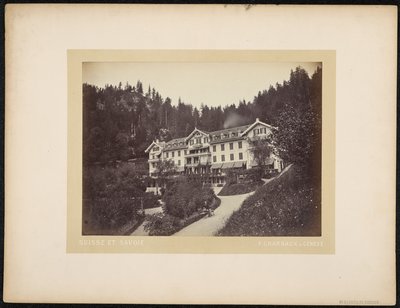 Hotel du Giessbach od Charnaux Frères and Cie.