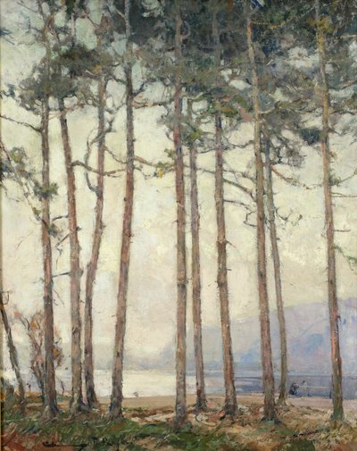 Phantom Lake (ropa) od Chauncey Foster Ryder