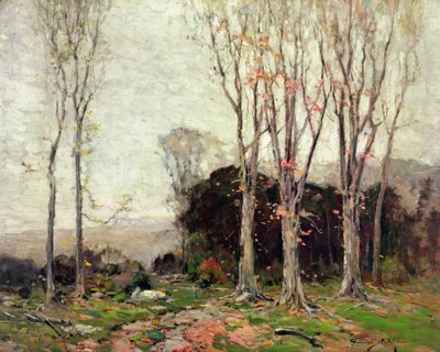 Cesta dolů po horách od Chauncey Foster Ryder