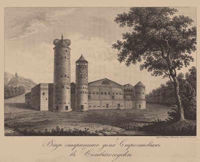 Starý dům rodiny Stroganov v Solvychegodsk, 1842 od Chessky