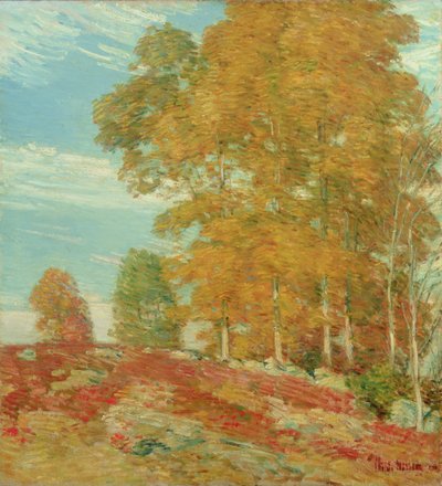Podzimní Hilltop, Nová Anglie od Childe Frederick Hassam