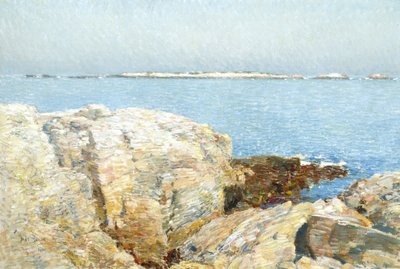 Kachní ostrov od Childe Frederick Hassam