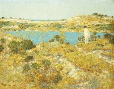 Bazén Duny od Childe Frederick Hassam