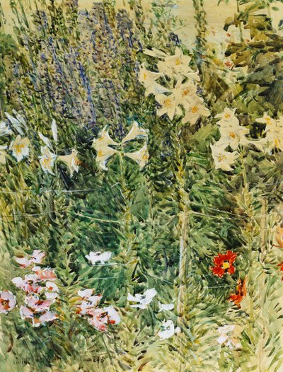 Larkspurs a Lillies od Childe Frederick Hassam