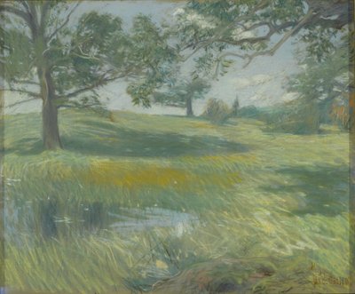 Meadows, cca 1900-10 (pastel na plátně) od Childe Frederick Hassam