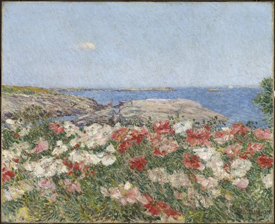 Vlčí máky na ostrovech mělčin od Childe Frederick Hassam