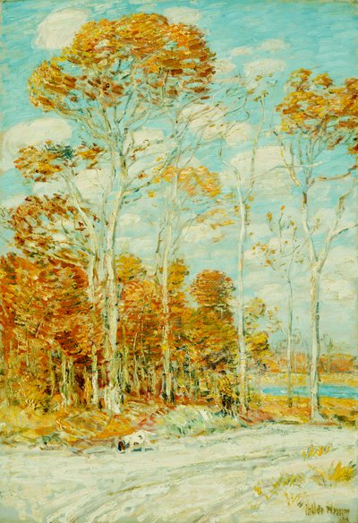 Jestřábí hnízdo od Childe Frederick Hassam