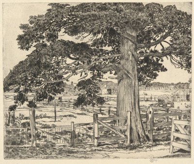 Velký cedr, Wainscott, L.I., 1929 od Childe Hassam