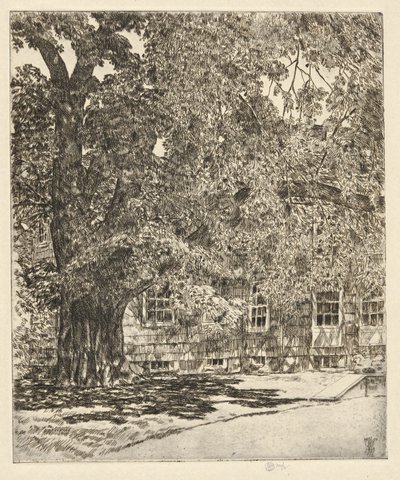 Obří jilm, 1929 od Childe Hassam