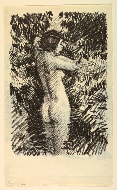 Akt od Childe Hassam
