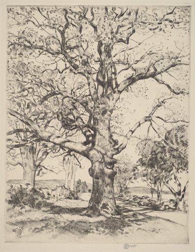  od Childe Hassam