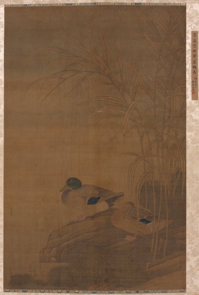 Kachny pod rákosím od China, Ming dynasty