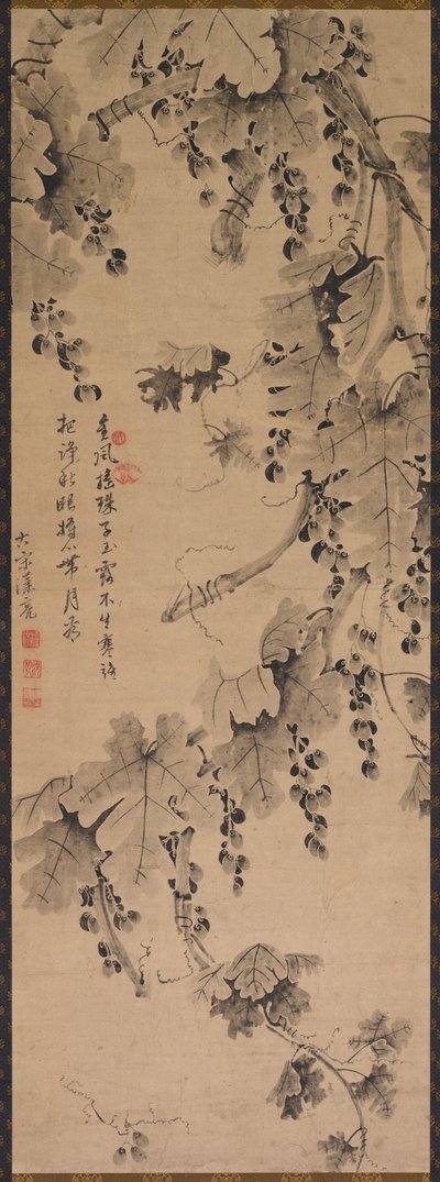 Vinná réva od China, Qing dynasty