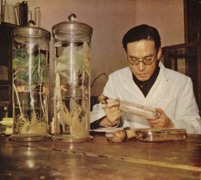 Čínský zemědělský chemik z Čchang-čchunského výzkumného institutu v Čínské lidové republice, 50. léta 20. století od Chinese Photographer