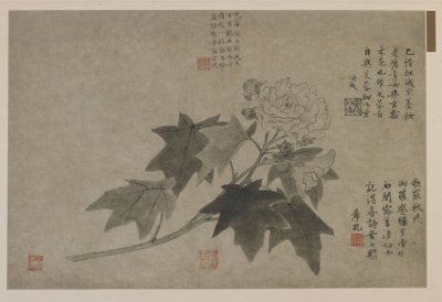 Větev dřevěné pivoňky, možná dynastie Qing (inkoust na papíře) od Chinese School