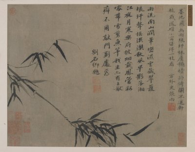 Bambusový sprej, pravděpodobně dynastie Čching (tuš na papíře) od Chinese School