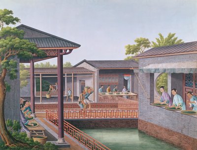 Hodnocení čaje (wc na papíře) od Chinese School
