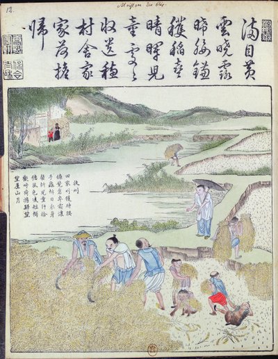 Harvest, The Rice Culture in China (barevný dřevořez) od Chinese School