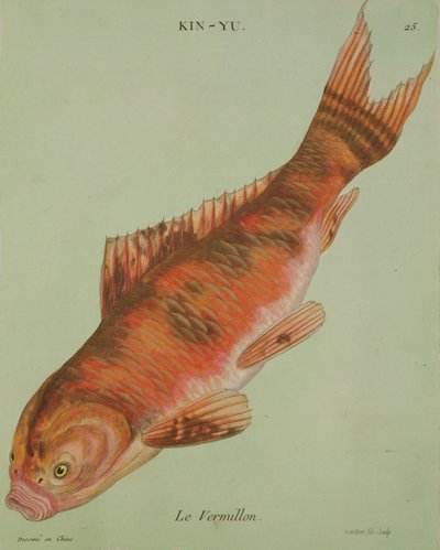 Le Vermillon, vyrytý Francois Nicholas Martinet (1731-str. 1796) (tisk) od Chinese School