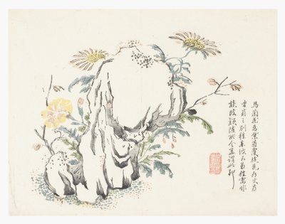 Zahrada hořčičných semen od Chinese School