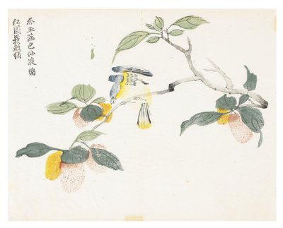 Zahrada hořčičných semen od Chinese School